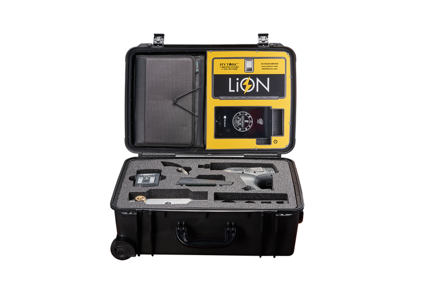 LION GUN-.25 with Documentation